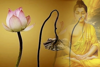 Tu pháp gì khi biết mình sắp mất